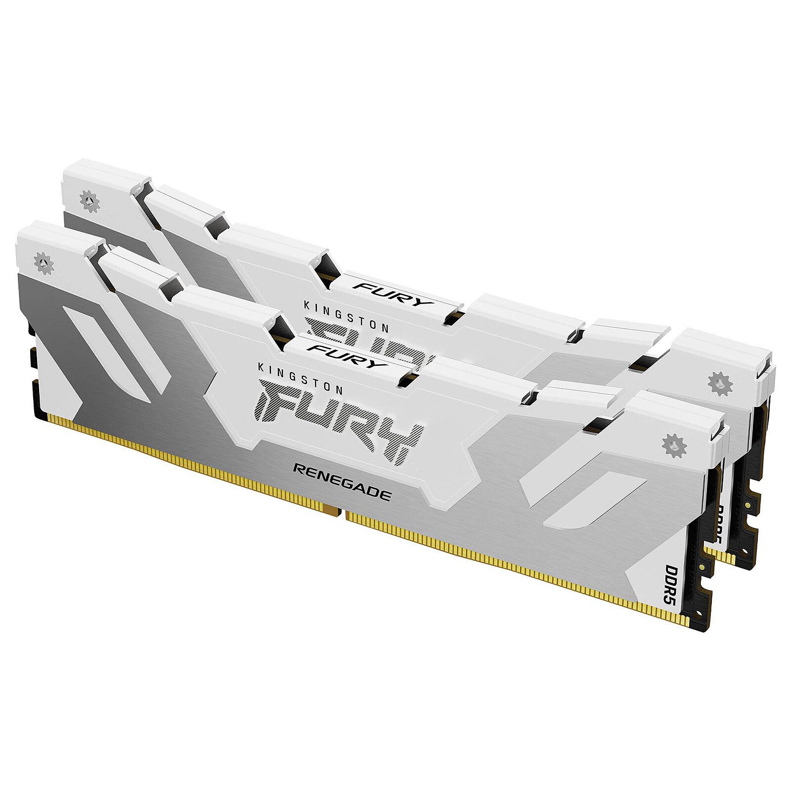 Kingston FURY Renegade