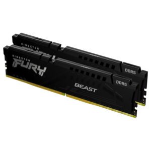 Kingston FURY Beast